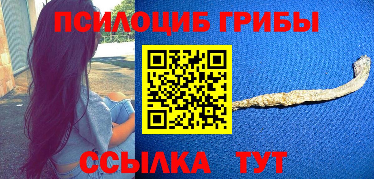 Псилоцибиновые грибы мухоморы Заводоуковск