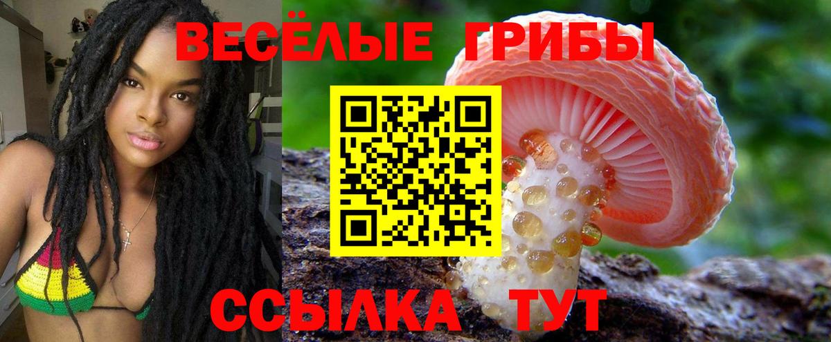 Галлюциногенные грибы мухоморы  Вход с VPN  Галлюциногенные грибы Psilocybe  где продают   Заводоуковск 